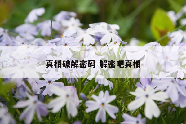 真相破解密码-解密吧真相