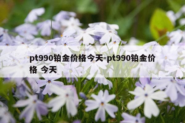 pt990铂金价格今天-pt990铂金价格 今天