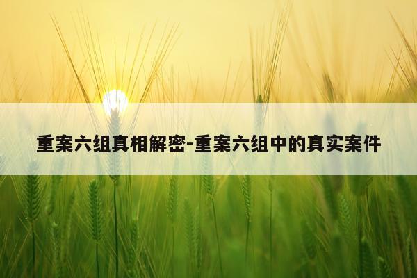 重案六组真相解密-重案六组中的真实案件