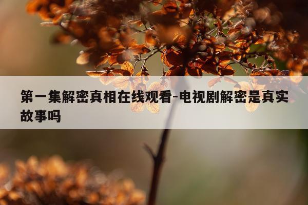 第一集解密真相在线观看-电视剧解密是真实故事吗