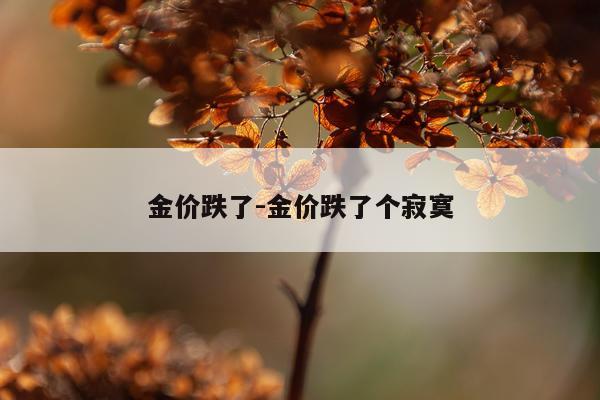 金价跌了-金价跌了个寂寞
