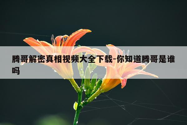 腾哥解密真相视频大全下载-你知道腾哥是谁吗