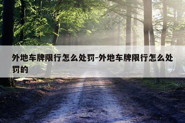 外地车牌限行怎么处罚-外地车牌限行怎么处罚的