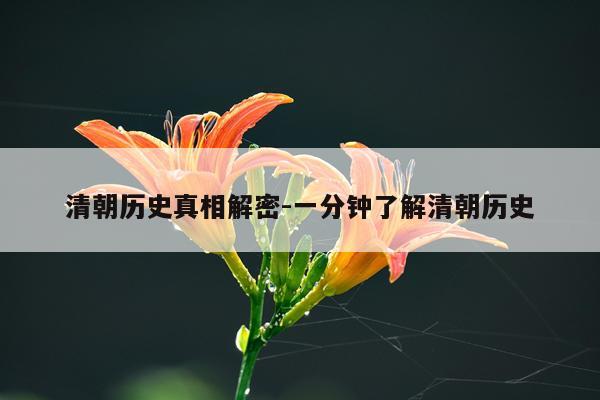 清朝历史真相解密-一分钟了解清朝历史