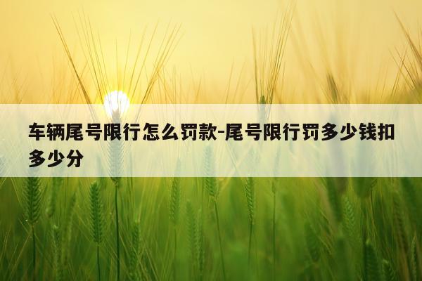 车辆尾号限行怎么罚款-尾号限行罚多少钱扣多少分