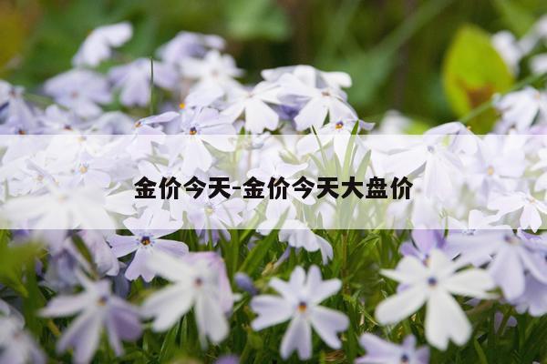 金价今天-金价今天大盘价