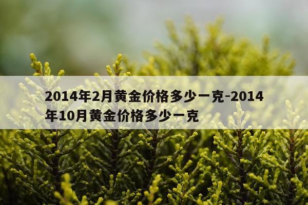 2014年2月黄金价格多少一克-2014年10月黄金价格多少一克