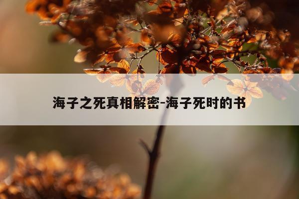 海子之死真相解密-海子死时的书