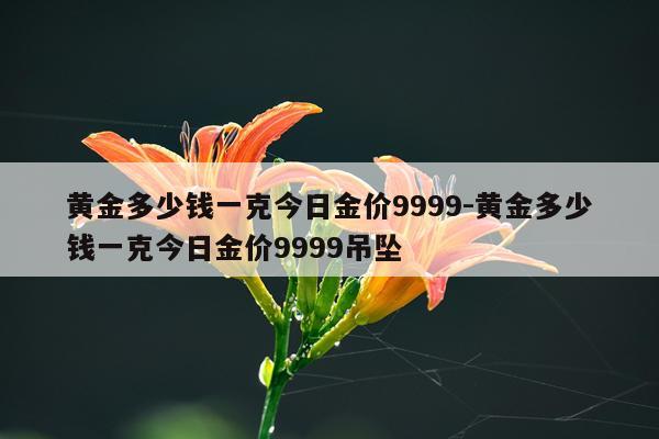 黄金多少钱一克今日金价9999-黄金多少钱一克今日金价9999吊坠