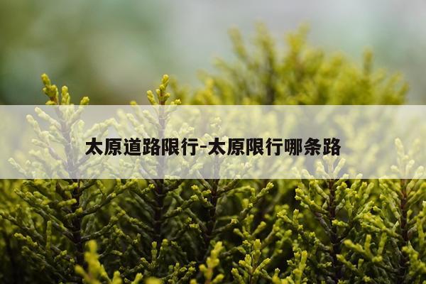 太原道路限行-太原限行哪条路