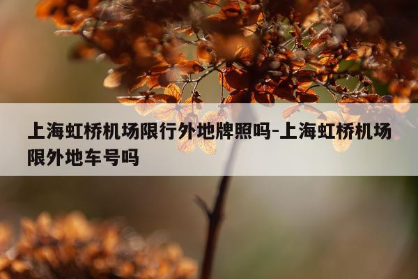 上海虹桥机场限行外地牌照吗-上海虹桥机场限外地车号吗