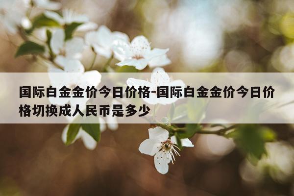 国际白金金价今日价格-国际白金金价今日价格切换成人民币是多少