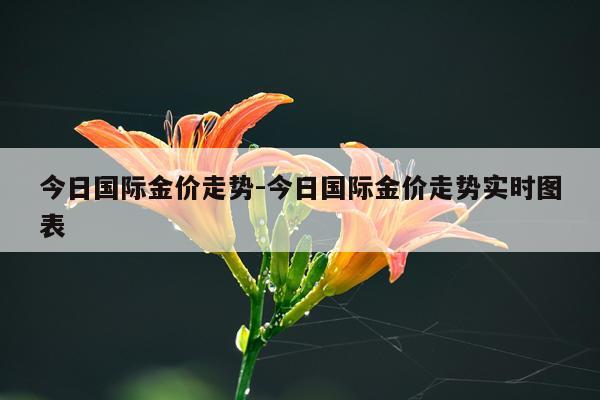 今日国际金价走势-今日国际金价走势实时图表