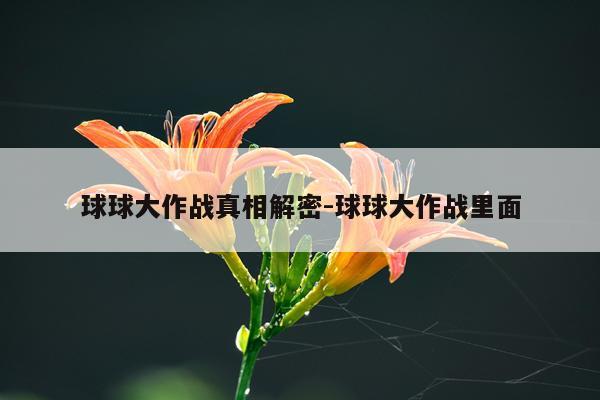 球球大作战真相解密-球球大作战里面