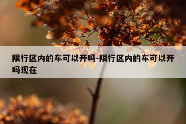 限行区内的车可以开吗-限行区内的车可以开吗现在