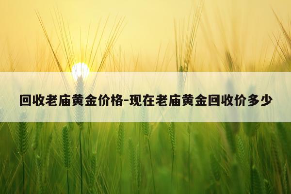 回收老庙黄金价格-现在老庙黄金回收价多少