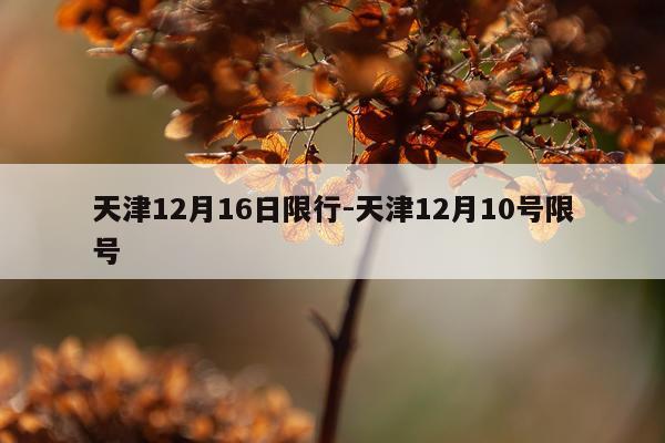 天津12月16日限行-天津12月10号限号