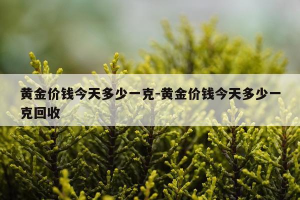黄金价钱今天多少一克-黄金价钱今天多少一克回收