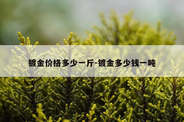 镀金价格多少一斤-镀金多少钱一吨