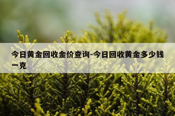 今日黄金回收金价查询-今日回收黄金多少钱一克