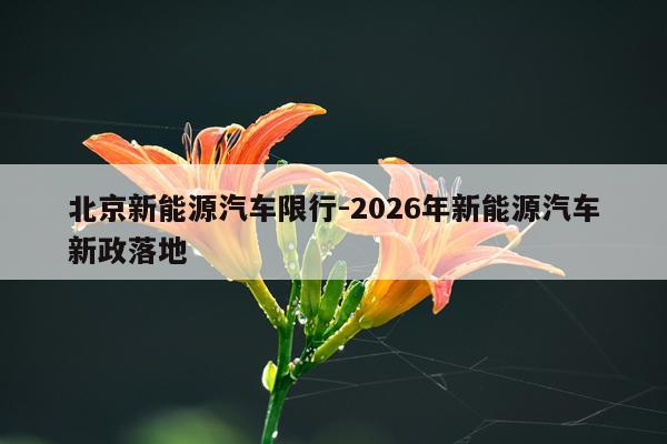 北京新能源汽车限行-2026年新能源汽车新政落地