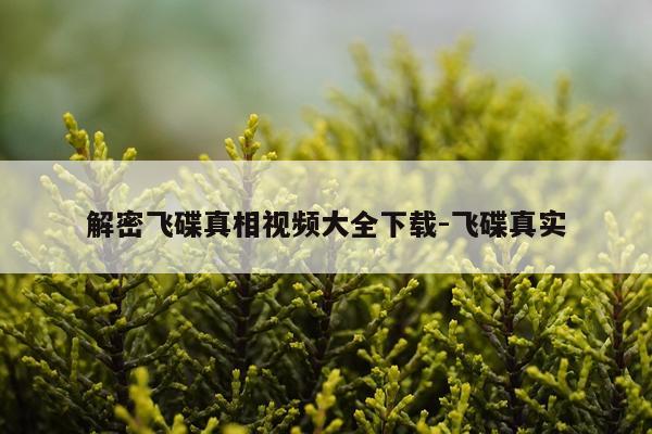 解密飞碟真相视频大全下载-飞碟真实