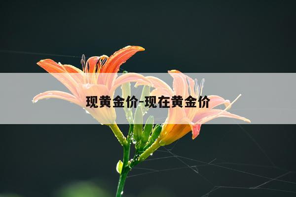 现黄金价-现在黄金价