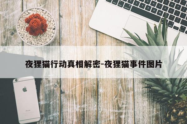 夜狸猫行动真相解密-夜狸猫事件图片