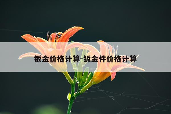 钣金价格计算-钣金件价格计算