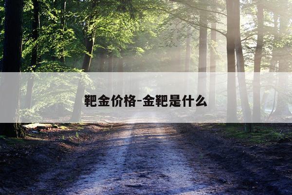 靶金价格-金靶是什么