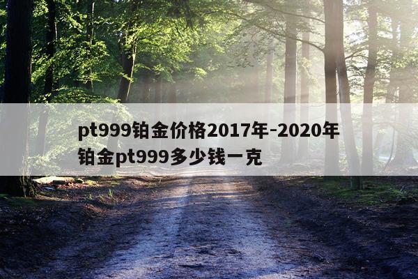 pt999铂金价格2017年-2020年铂金pt999多少钱一克