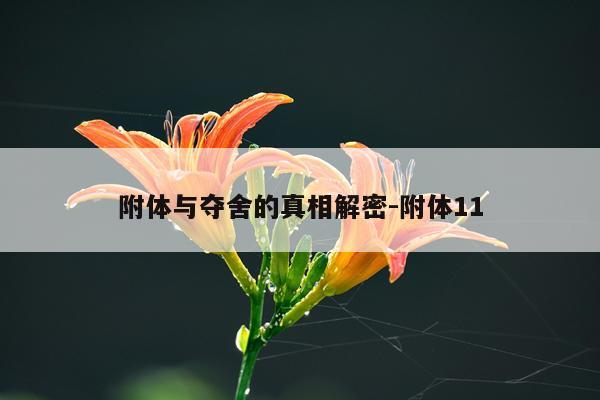 附体与夺舍的真相解密-附体11