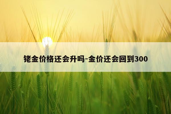 铑金价格还会升吗-金价还会回到300
