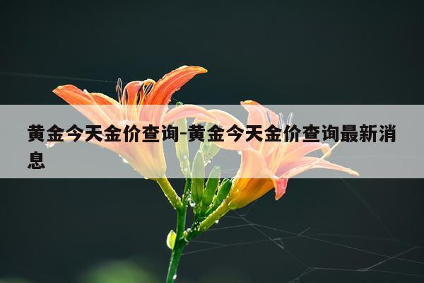 黄金今天金价查询-黄金今天金价查询最新消息