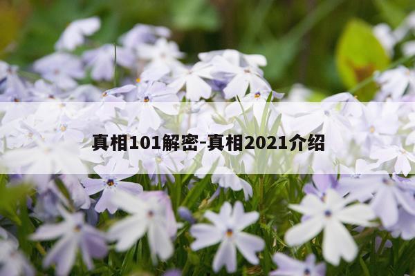 真相101解密-真相2021介绍