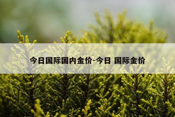 今日国际国内金价-今日 国际金价