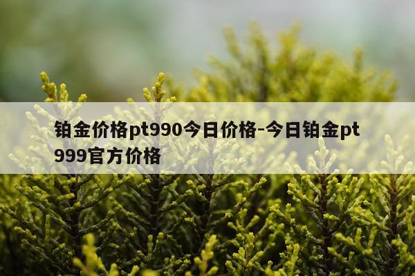 铂金价格pt990今日价格-今日铂金pt999官方价格
