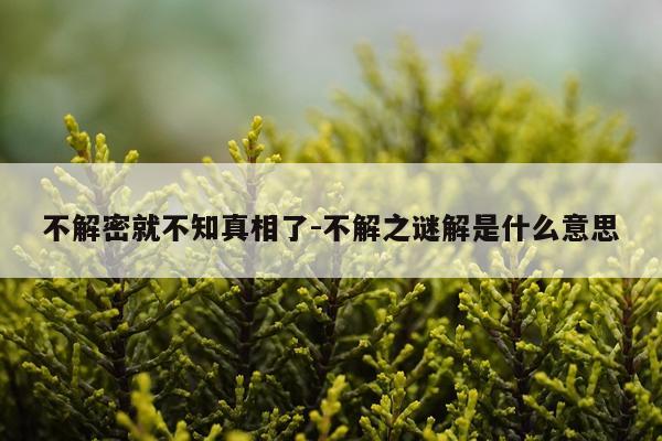不解密就不知真相了-不解之谜解是什么意思