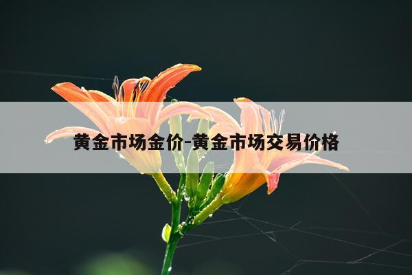 黄金市场金价-黄金市场交易价格