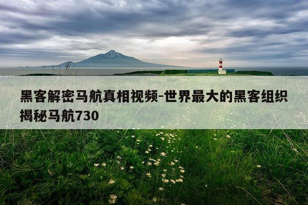 黑客解密马航真相视频-世界最大的黑客组织揭秘马航730