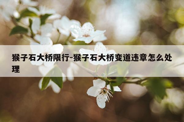 猴子石大桥限行-猴子石大桥变道违章怎么处理
