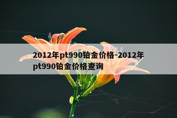 2012年pt990铂金价格-2012年pt990铂金价格查询