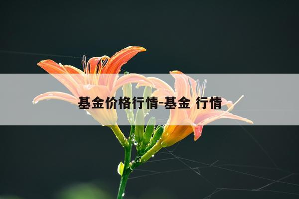 基金价格行情-基金 行情