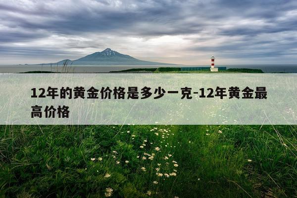 12年的黄金价格是多少一克-12年黄金最高价格