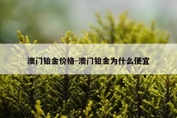 澳门铂金价格-澳门铂金为什么便宜