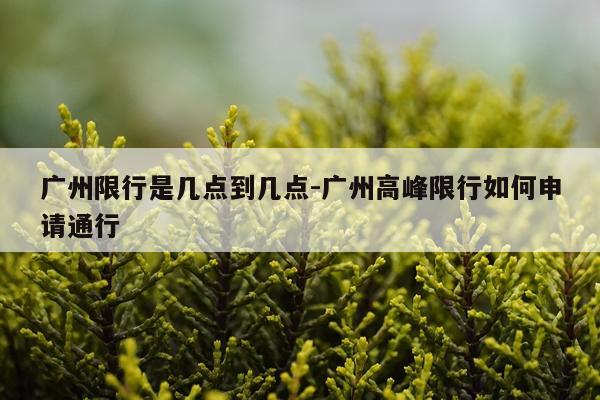 广州限行是几点到几点-广州高峰限行如何申请通行