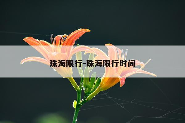 珠海限行-珠海限行时间
