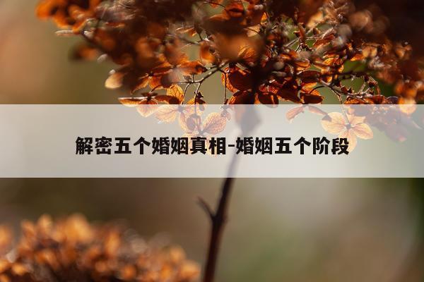 解密五个婚姻真相-婚姻五个阶段