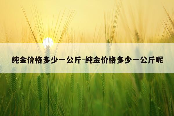 纯金价格多少一公斤-纯金价格多少一公斤呢