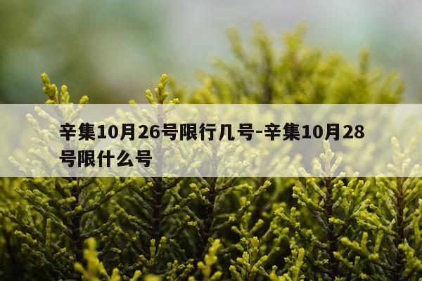 辛集10月26号限行几号-辛集10月28号限什么号